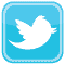 twitter logo